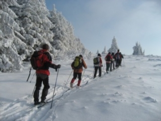 Ski de fond en Savoie ou dans les Vosges